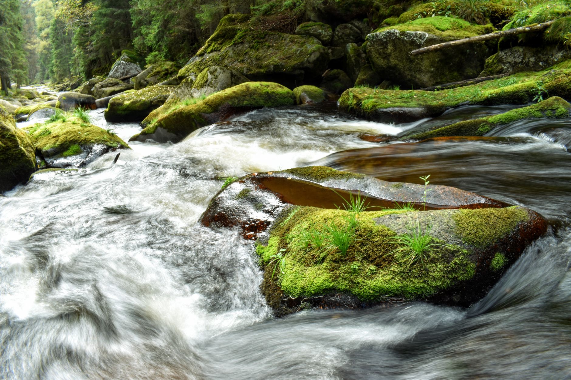 Pakalpojumi Mountain Glen